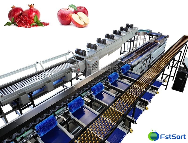 pomegranates sorting packing machine.jpg pomegranates sorting packing machine.jpg